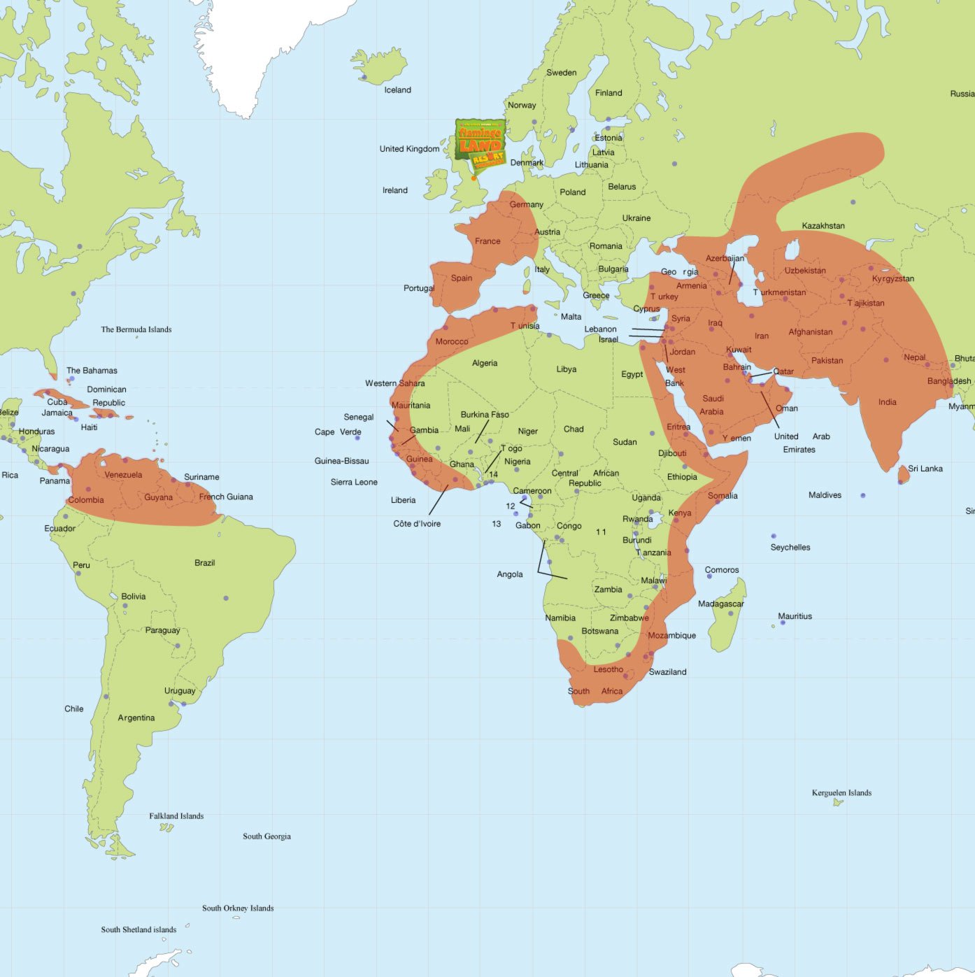 Flamingos Flamingo Land Resort