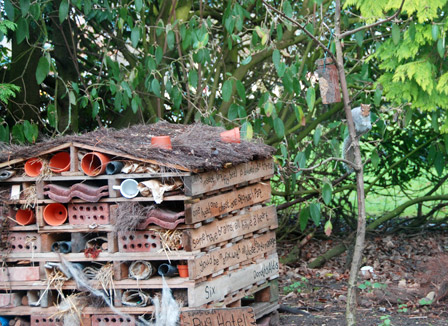 Bug hotel