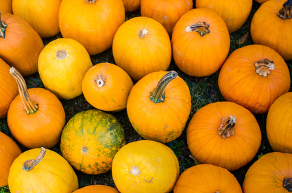 Halloween pumpkins