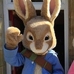 peter-rabbit-character