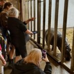 Flamingo Land Resort - Walk on the Wild Side