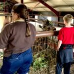 Flamingo Land Resort - Walk on the Wild Side