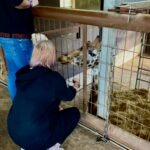 Flamingo Land Resort - Walk on the Wild Side