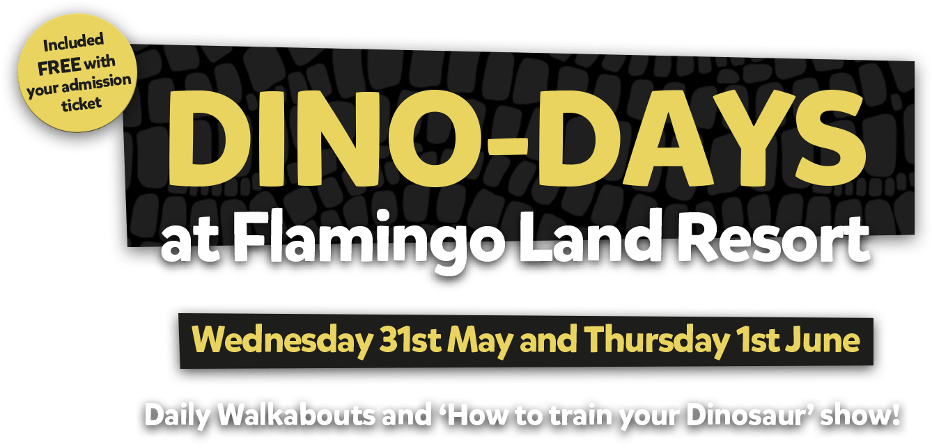 Home Flamingo Land Resort