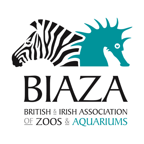 biaza logo biaza logo