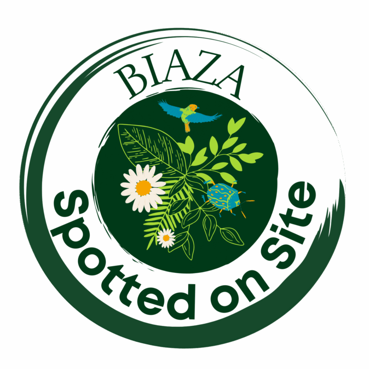 biaza spotted on site biaza spotted on site