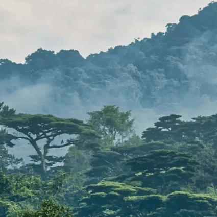 Udzangwa Mountains