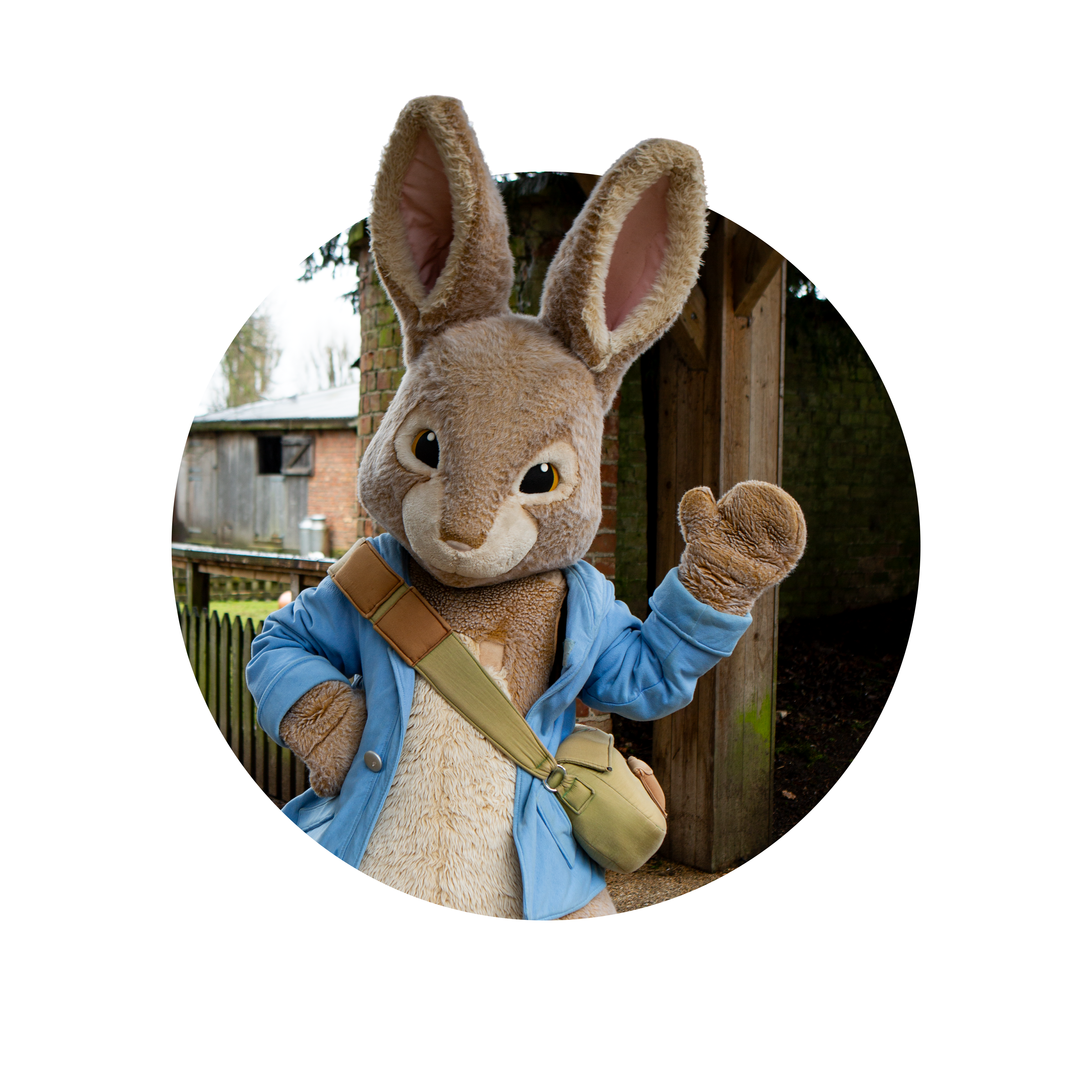 Peter Rabbit Meet & Greet