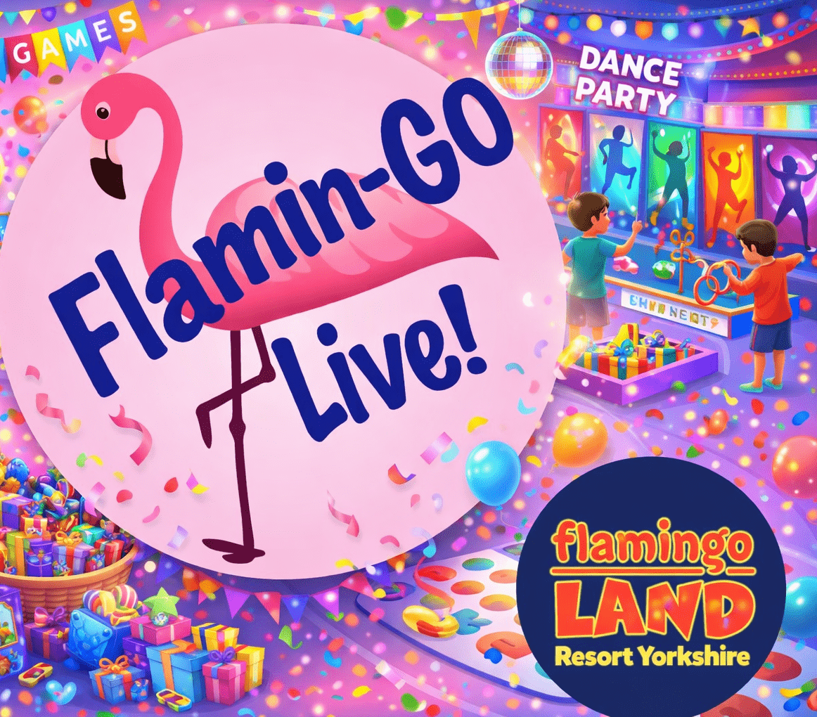 Flamingo Live