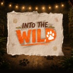 into the wild into the wild