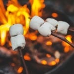 toasted marshmallows toasted marshmallows
